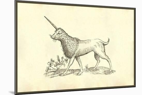 Unicorn (Camphurch Effigies)-Ulisse Aldrovandi-Mounted Art Print