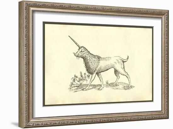 Unicorn (Camphurch Effigies)-Ulisse Aldrovandi-Framed Art Print