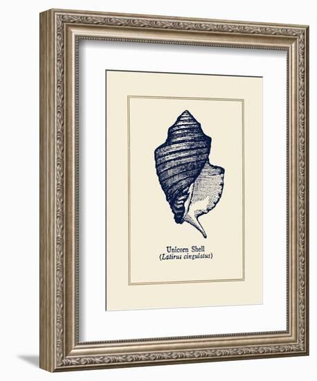 Unicorn Shell-Gregory Gorham-Framed Art Print