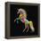 Unicorn-Bob Weer-Framed Premier Image Canvas