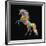 Unicorn-Bob Weer-Framed Giclee Print