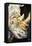 Unicorn-Marc Allante-Framed Premier Image Canvas