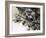 Unidentified Dog Fight Between British Biplanes and a German Triplane-Wilf Hardy-Framed Giclee Print