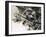 Unidentified Dog Fight Between British Biplanes and a German Triplane-Wilf Hardy-Framed Giclee Print