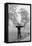Unidentified Honda Worker in Tokyo Shooting Arrow, 1967-Takeyoshi Tanuma-Framed Premier Image Canvas