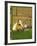 Unidentified Horse and Playful Kitten-null-Framed Giclee Print