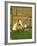 Unidentified Horse and Playful Kitten-null-Framed Giclee Print