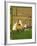 Unidentified Horse and Playful Kitten-null-Framed Giclee Print