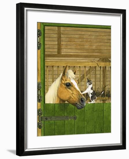 Unidentified Horse and Playful Kitten-null-Framed Giclee Print