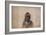 Unidentified Indian Man-John Mix Stanley-Framed Giclee Print