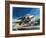 Unidentified Jet Fighter-Wilf Hardy-Framed Giclee Print