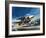 Unidentified Jet Fighter-Wilf Hardy-Framed Giclee Print