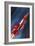 Unidentified NASA Rocket Plane-Wilf Hardy-Framed Giclee Print