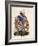 Uniform of Infantry Dragoon-Claudio Linati-Framed Giclee Print