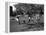 Uniformed Drum Major For University of Michigan Marching Band Practicing His High Kicking Prance-Alfred Eisenstaedt-Framed Premier Image Canvas