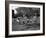 Uniformed Drum Major For University of Michigan Marching Band Practicing His High Kicking Prance-Alfred Eisenstaedt-Framed Photographic Print