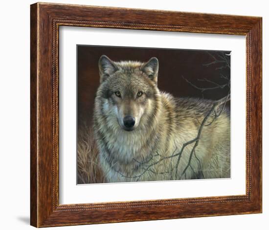 Uninterrupted Stare: Gray Wolf-Joni Johnson-godsy-Framed Art Print