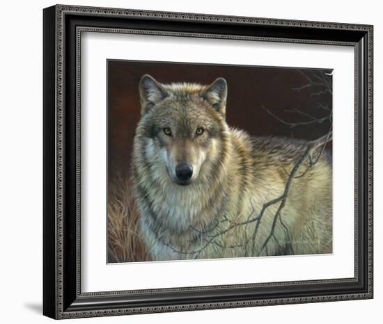 Uninterrupted Stare: Gray Wolf-Joni Johnson-godsy-Framed Art Print