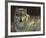 Uninterrupted Stare: Gray Wolf-Joni Johnson-godsy-Framed Giclee Print