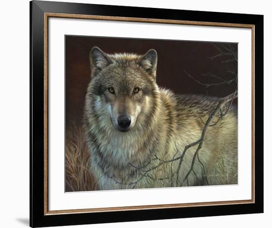 Uninterrupted Stare: Gray Wolf-Joni Johnson-godsy-Framed Giclee Print