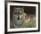 Uninterrupted Stare: Gray Wolf-Joni Johnson-godsy-Framed Giclee Print