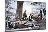 Union Army Amputees Recovering after Surgery (B/W Photo)-American Photographer-Mounted Giclee Print