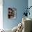 Union Oyster House-Carol Highsmith-Photo displayed on a wall