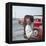 Union President Jimmy Hoffa's Image Reflected in Rear View Mirror in Red Truck-Hank Walker-Framed Premier Image Canvas