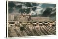 Stretched Canvas Print