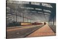 Stretched Canvas Print