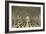 Union Station, Washington D.C.-null-Framed Art Print