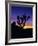 Unique Yucca Tree, Joshua Tree National Park, California, USA-Jerry Ginsberg-Framed Premium Photographic Print