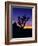 Unique Yucca Tree, Joshua Tree National Park, California, USA-Jerry Ginsberg-Framed Photographic Print