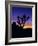 Unique Yucca Tree, Joshua Tree National Park, California, USA-Jerry Ginsberg-Framed Photographic Print