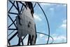 Unisphere at World's Fair Grounds NYC-null-Mounted Photo