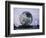 Unisphere, Flushing Meadow Park, NY-Barry Winiker-Framed Photographic Print