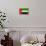 United Arab Emirates Flag Design with Wood Patterning - Flags of the World Series-Philippe Hugonnard-Framed Stretched Canvas displayed on a wall