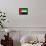 United Arab Emirates Flag Design with Wood Patterning - Flags of the World Series-Philippe Hugonnard-Framed Stretched Canvas displayed on a wall