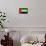 United Arab Emirates Flag Design with Wood Patterning - Flags of the World Series-Philippe Hugonnard-Framed Stretched Canvas displayed on a wall