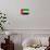 United Arab Emirates Flag Design with Wood Patterning - Flags of the World Series-Philippe Hugonnard-Framed Stretched Canvas displayed on a wall