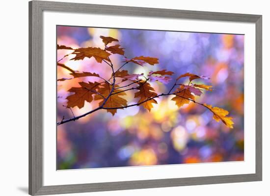United Colors of Autumn-Roeselien Raimond-Framed Photographic Print