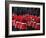 United Kingdom, England, London, the Mall, Trooping of the Colour, Solders/Guards-Jane Sweeney-Framed Photographic Print