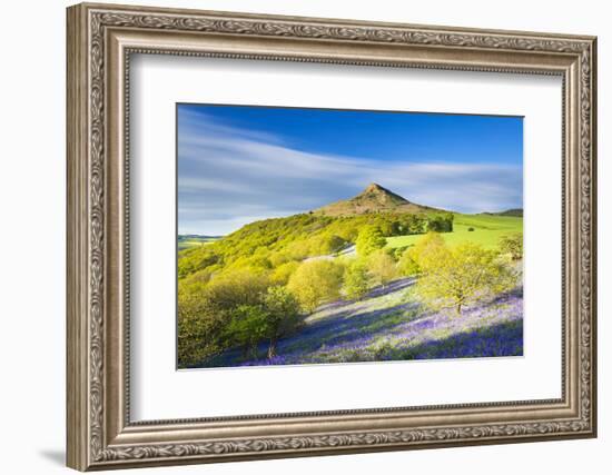 United Kingdom, England, North Yorkshire, Great Ayton. Spring Bluebells at Roseberry Topping.-Nick Ledger-Framed Photographic Print