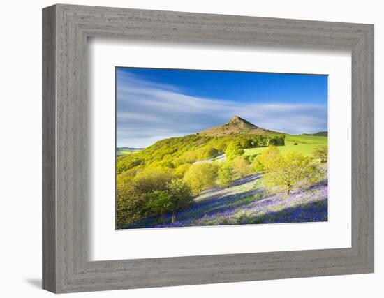 United Kingdom, England, North Yorkshire, Great Ayton. Spring Bluebells at Roseberry Topping.-Nick Ledger-Framed Photographic Print