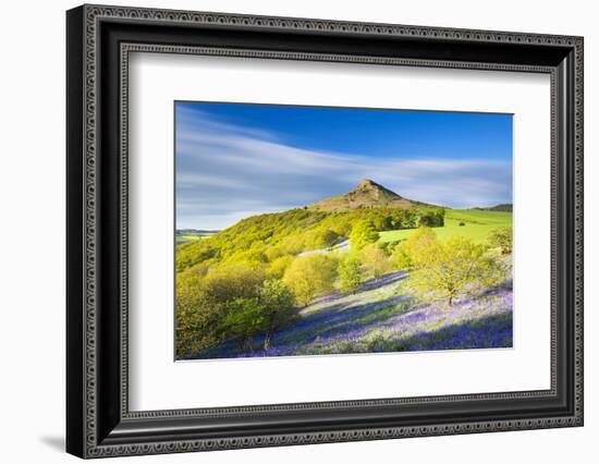 United Kingdom, England, North Yorkshire, Great Ayton. Spring Bluebells at Roseberry Topping.-Nick Ledger-Framed Photographic Print