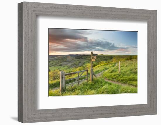 United Kingdom, England, North Yorkshire, Sutton Bank. a Signpost on the Cleveland Way.-Nick Ledger-Framed Photographic Print