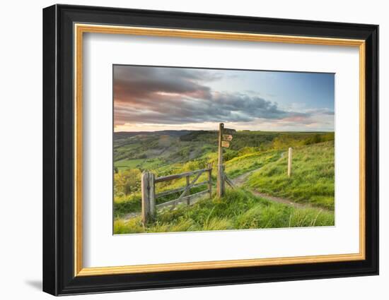 United Kingdom, England, North Yorkshire, Sutton Bank. a Signpost on the Cleveland Way.-Nick Ledger-Framed Photographic Print