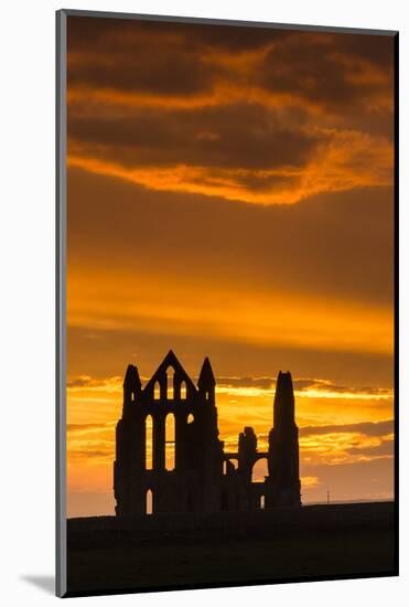United Kingdom, England, North Yorkshire, Whitby. Whitby Abbey was founded in 657 AD by Oswy, the S-Nick Ledger-Mounted Photographic Print