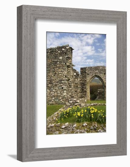 United Kingdom, Wales. Cymer Abbey in Gwynedd, a Welsh Historic Monument of Cadw-Kymri Wilt-Framed Photographic Print