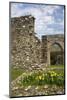 United Kingdom, Wales. Cymer Abbey in Gwynedd, a Welsh Historic Monument of Cadw-Kymri Wilt-Mounted Photographic Print